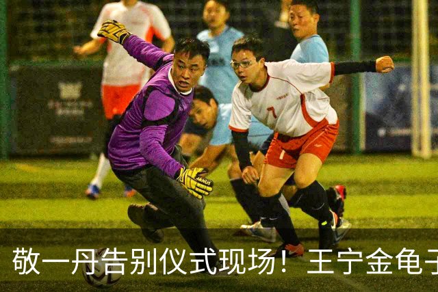 敬一丹告别仪式现场！王宁金龟子现身送别，多位主持人忍不住哭泣